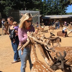 Meet your Posher, Kat